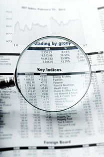 昭通同志供卵选性别：nt值偏高风险大吗下一步检查什么？